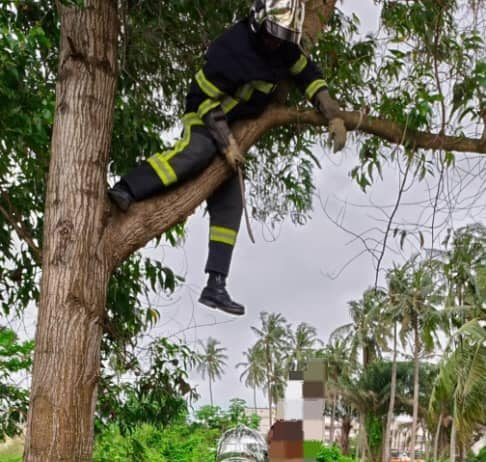 Un jeune homme retrouvé pen*du a un arbre à Cocody riviera M’pouto ce samedi 05 Août