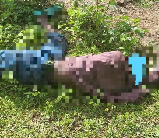 Un Bouvier Mortellement Agressé à la Machette par son Collègue à Nomparahdouo