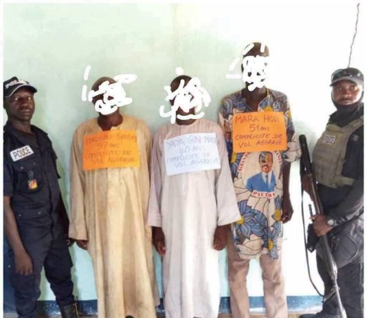 Cameroun : Un chef de village et des notables arrêtés après un braquage armé à 4 millions de FCFA dans le Mayo-Kani